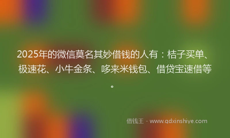 2025年的微信莫名其妙借钱的人有：桔子买单、极速花、小牛金条、哆来米钱包、借贷宝速借等。