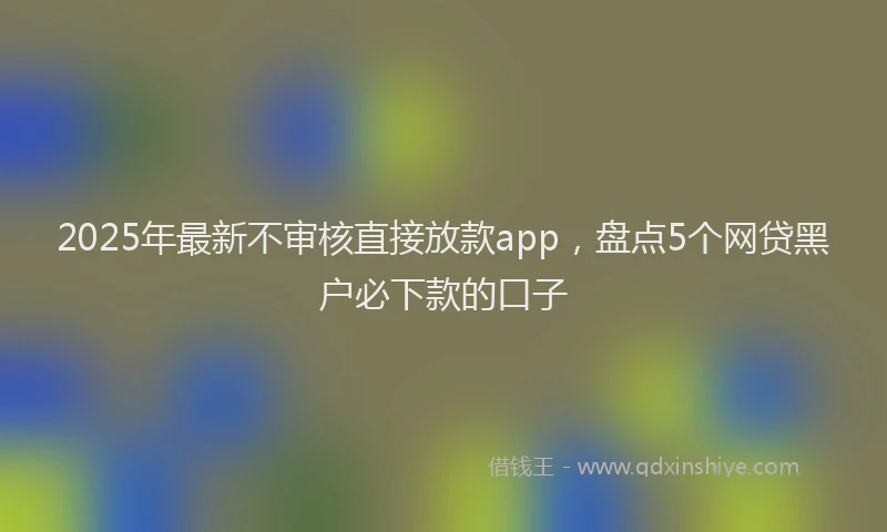 2025年最新不审核直接放款app，盘点5个网贷黑户必下款的口子