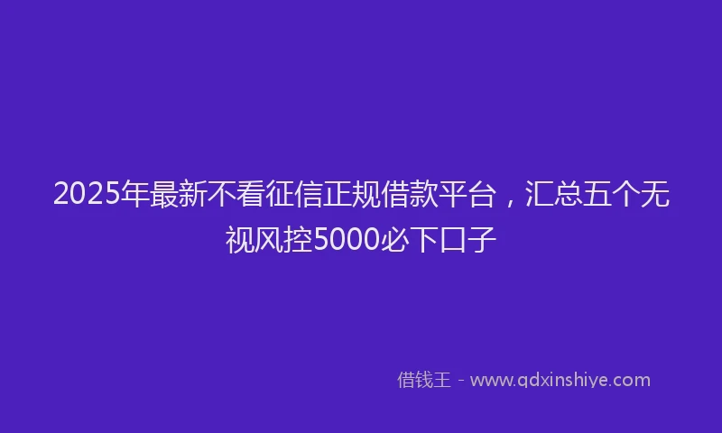 2025年最新不看征信正规借款平台，汇总五个无视风控5000必下口子