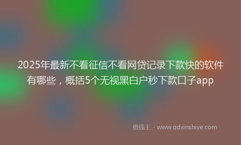 2025年最新不看征信不看网贷记录下款快的软件有哪些，概括5个无视黑白户秒下款口子app
