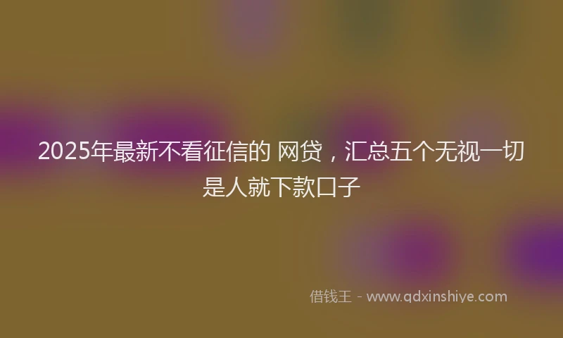 2025年最新不看征信的 网贷，汇总五个无视一切是人就下款口子