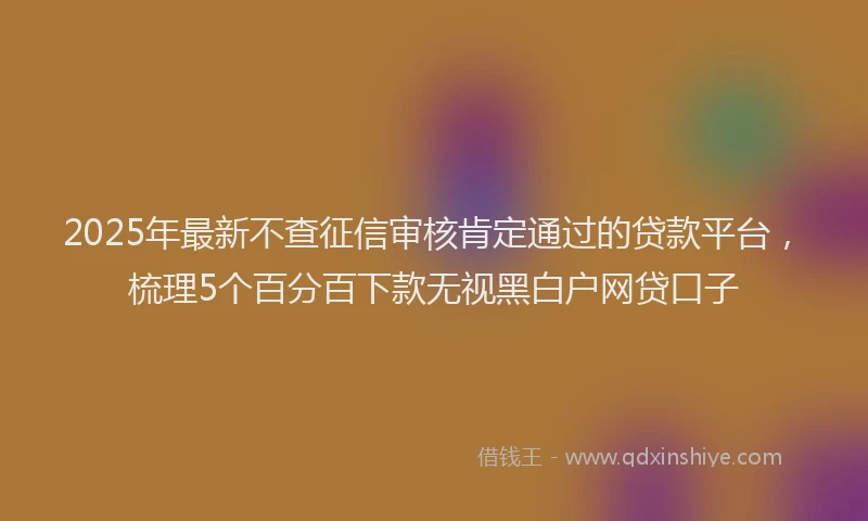 2025年最新不查征信审核肯定通过的贷款平台，梳理5个百分百下款无视黑白户网贷口子