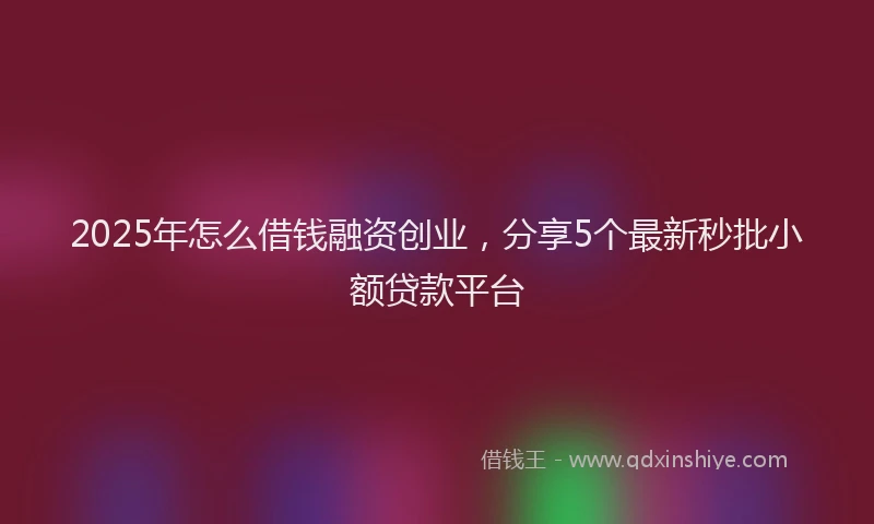 2025年怎么借钱融资创业，分享5个最新秒批小额贷款平台