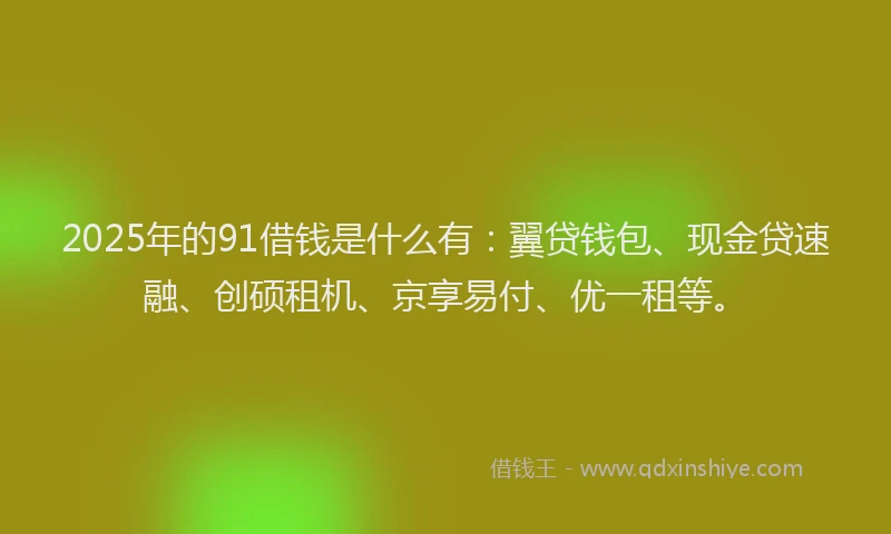 2025年的91借钱是什么有：翼贷钱包、现金贷速融、创硕租机、京享易付、优一租等。
