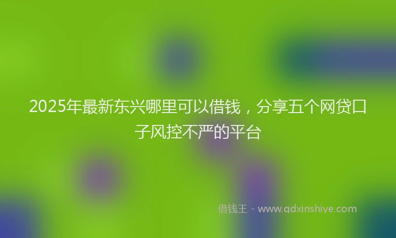2025年最新东兴哪里可以借钱，分享五个网贷口子风控不严的平台