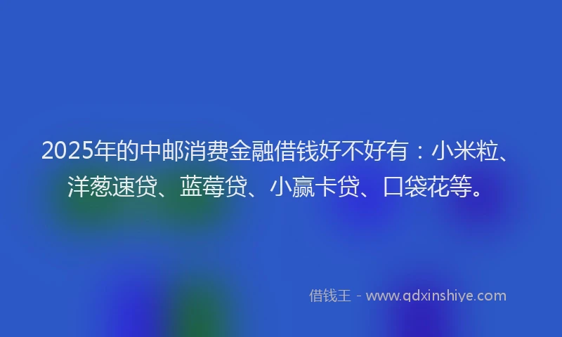 2025年的中邮消费金融借钱好不好有：小米粒、洋葱速贷、蓝莓贷、小赢卡贷、口袋花等。