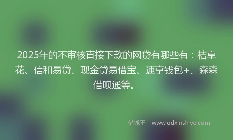 2025年的不审核直接下款的网贷有哪些有：桔享花、信和易贷、现金贷易借宝、速享钱包+、森森借呗通等。