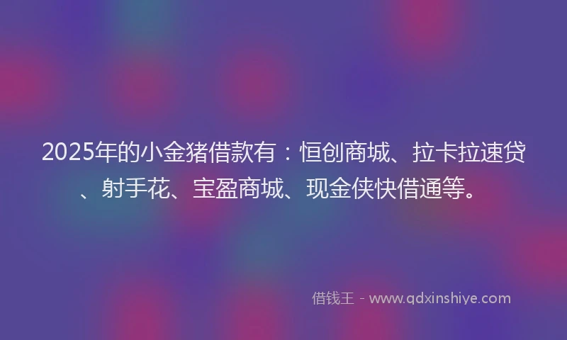 2025年的小金猪借款有：恒创商城、拉卡拉速贷、射手花、宝盈商城、现金侠快借通等。