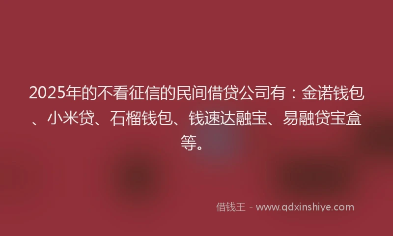 2025年的不看征信的民间借贷公司有：金诺钱包、小米贷、石榴钱包、钱速达融宝、易融贷宝盒等。