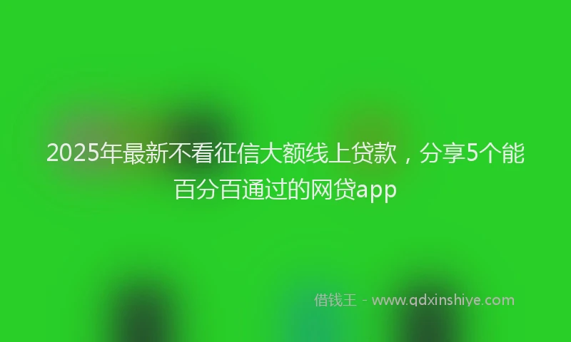 2025年最新不看征信大额线上贷款，分享5个能百分百通过的网贷app