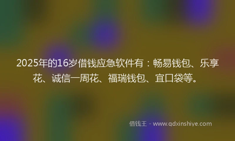 2025年的16岁借钱应急软件有：畅易钱包、乐享花、诚信一周花、福瑞钱包、宜口袋等。