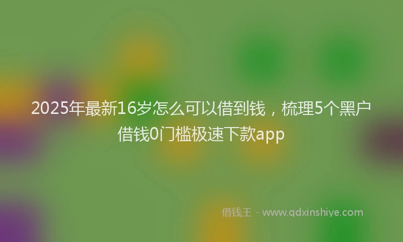 2025年最新16岁怎么可以借到钱，梳理5个黑户借钱0门槛极速下款app