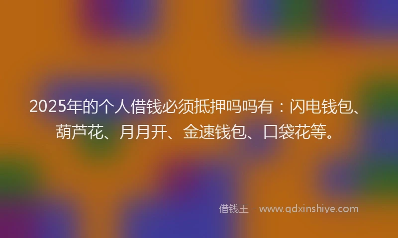 2025年的个人借钱必须抵押吗吗有：闪电钱包、葫芦花、月月开、金速钱包、口袋花等。