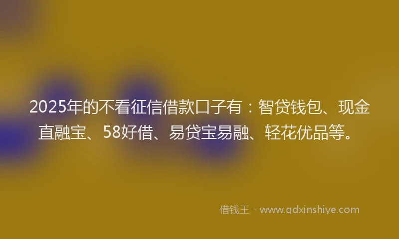 2025年的不看征信借款口子有：智贷钱包、现金直融宝、58好借、易贷宝易融、轻花优品等。