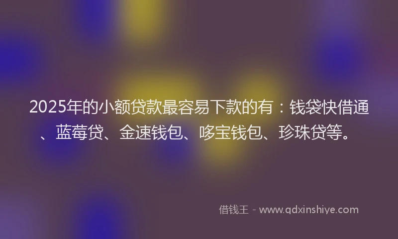 2025年的小额贷款最容易下款的有：钱袋快借通、蓝莓贷、金速钱包、哆宝钱包、珍珠贷等。