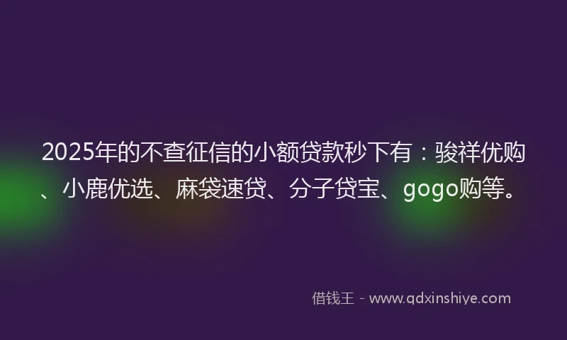 2025年的不查征信的小额贷款秒下有：骏祥优购、小鹿优选、麻袋速贷、分子贷宝、gogo购等。