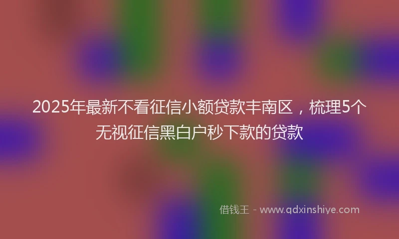 2025年最新不看征信小额贷款丰南区，梳理5个无视征信黑白户秒下款的贷款