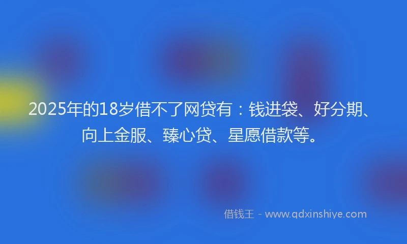 2025年的18岁借不了网贷有：钱进袋、好分期、向上金服、臻心贷、星愿借款等。