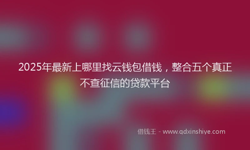 2025年最新上哪里找云钱包借钱，整合五个真正不查征信的贷款平台