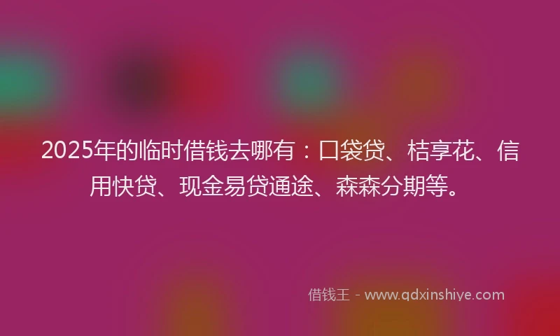 2025年的临时借钱去哪有：口袋贷、桔享花、信用快贷、现金易贷通途、森森分期等。