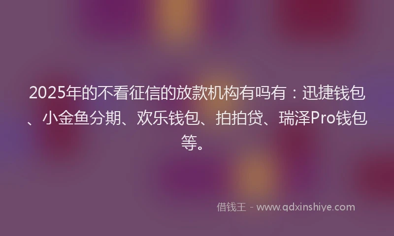 2025年的不看征信的放款机构有吗有：迅捷钱包、小金鱼分期、欢乐钱包、拍拍贷、瑞泽Pro钱包等。