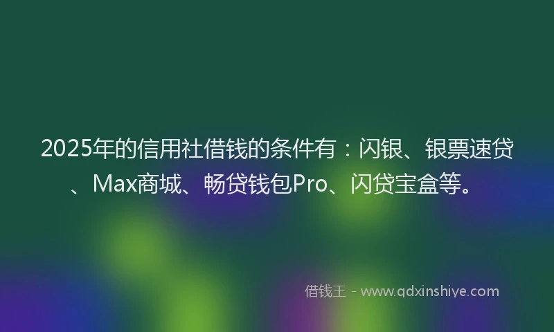 2025年的信用社借钱的条件有：闪银、银票速贷、Max商城、畅贷钱包Pro、闪贷宝盒等。