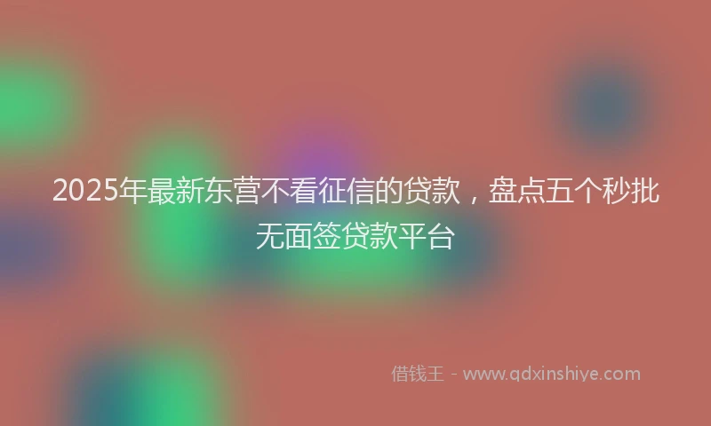 2025年最新东营不看征信的贷款，盘点五个秒批无面签贷款平台
