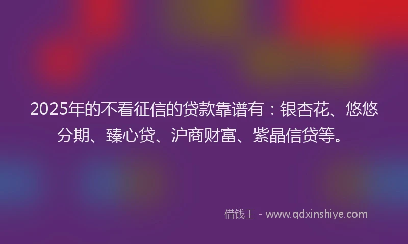 2025年的不看征信的贷款靠谱有：银杏花、悠悠分期、臻心贷、沪商财富、紫晶信贷等。