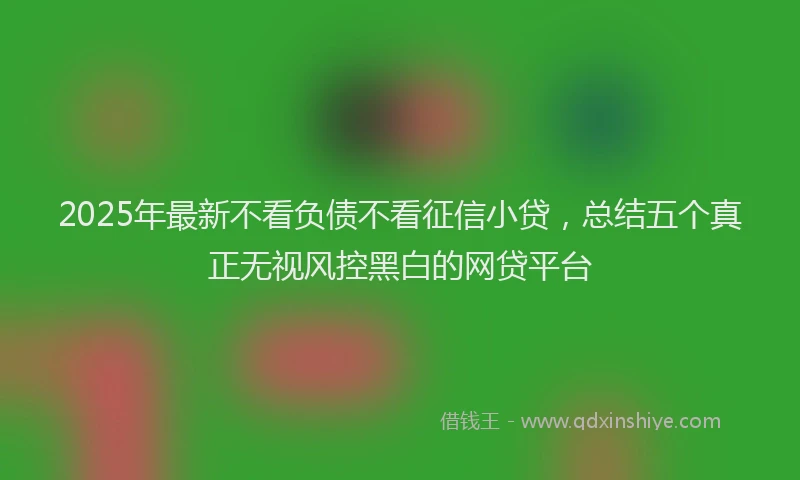 2025年最新不看负债不看征信小贷，总结五个真正无视风控黑白的网贷平台