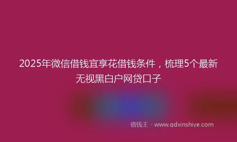 2025年微信借钱宜享花借钱条件，梳理5个最新无视黑白户网贷口子