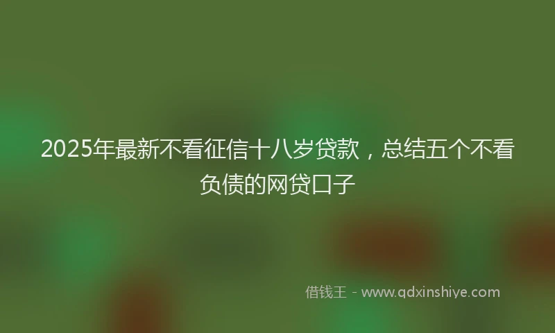 2025年最新不看征信十八岁贷款，总结五个不看负债的网贷口子