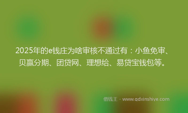 2025年的e钱庄为啥审核不通过有：小鱼免审、贝赢分期、团贷网、理想给、易贷宝钱包等。