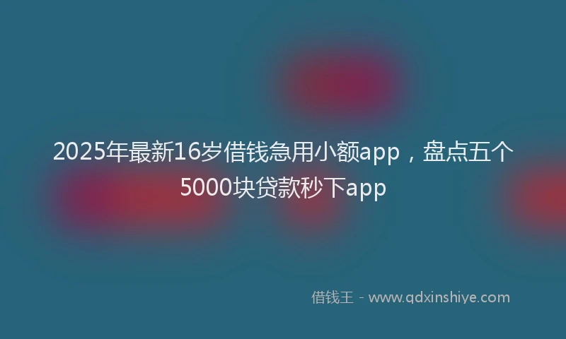 2025年最新16岁借钱急用小额app，盘点五个5000块贷款秒下app