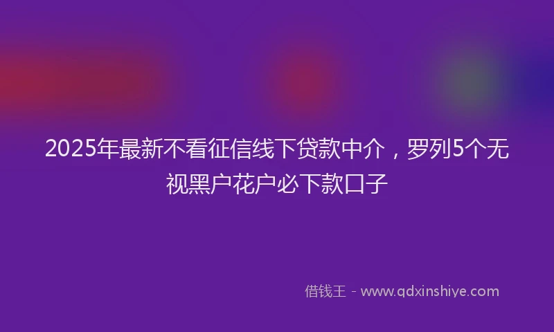 2025年最新不看征信线下贷款中介，罗列5个无视黑户花户必下款口子