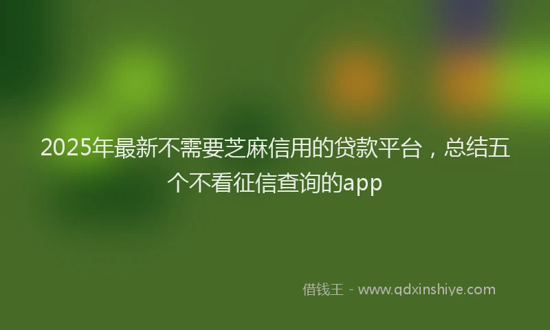 2025年最新不需要芝麻信用的贷款平台，总结五个不看征信查询的app