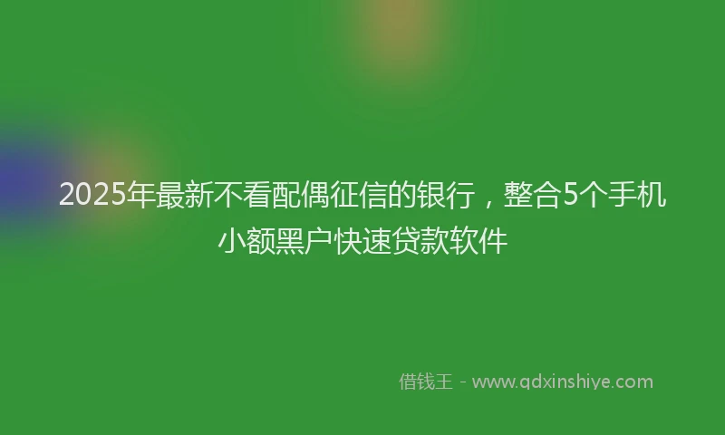 2025年最新不看配偶征信的银行，整合5个手机小额黑户快速贷款软件