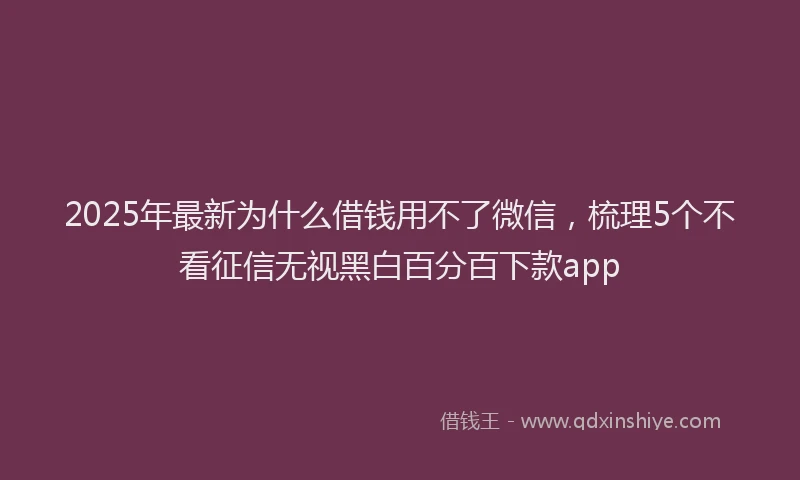 2025年最新为什么借钱用不了微信，梳理5个不看征信无视黑白百分百下款app