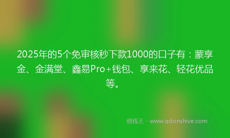 2025年的5个免审核秒下款1000的口子有：蒙享金、金满堂、鑫易Pro+钱包、享来花、轻花优品等。