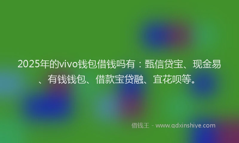 2025年的vivo钱包借钱吗有：甄信贷宝、现金易、有钱钱包、借款宝贷融、宜花呗等。