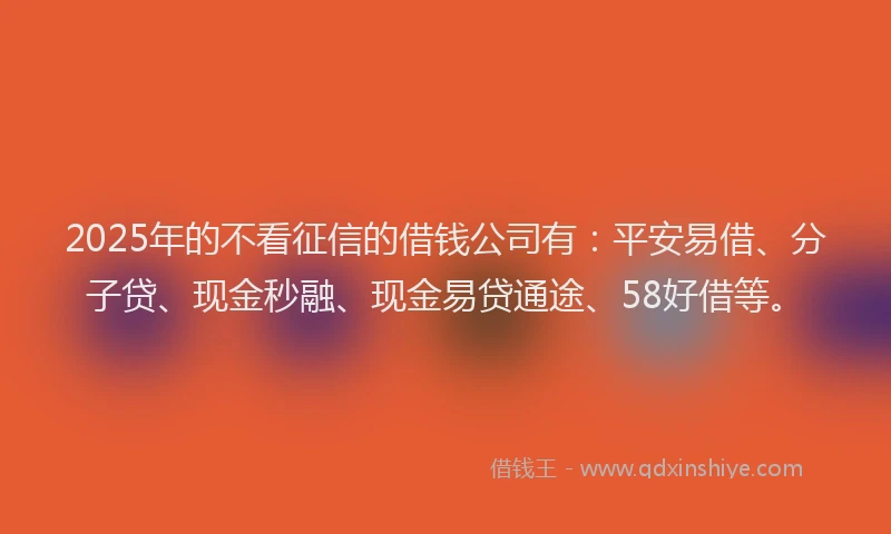 2025年的不看征信的借钱公司有：平安易借、分子贷、现金秒融、现金易贷通途、58好借等。