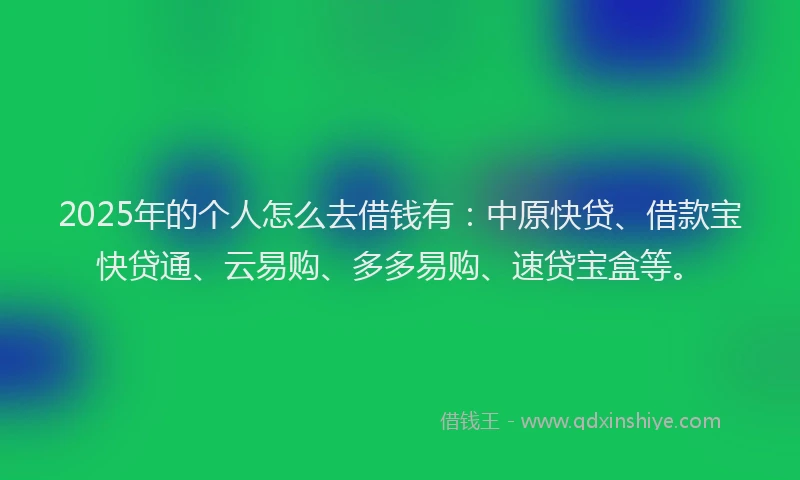 2025年的个人怎么去借钱有：中原快贷、借款宝快贷通、云易购、多多易购、速贷宝盒等。