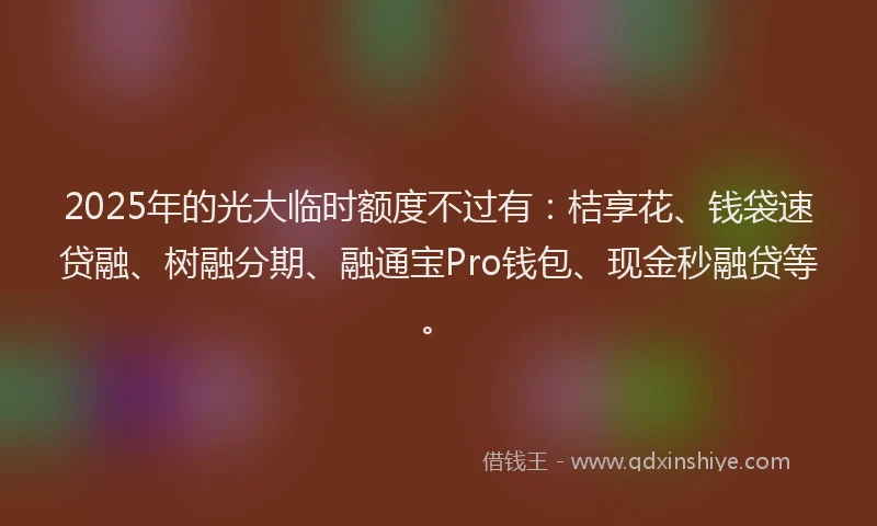2025年的光大临时额度不过有：桔享花、钱袋速贷融、树融分期、融通宝Pro钱包、现金秒融贷等。