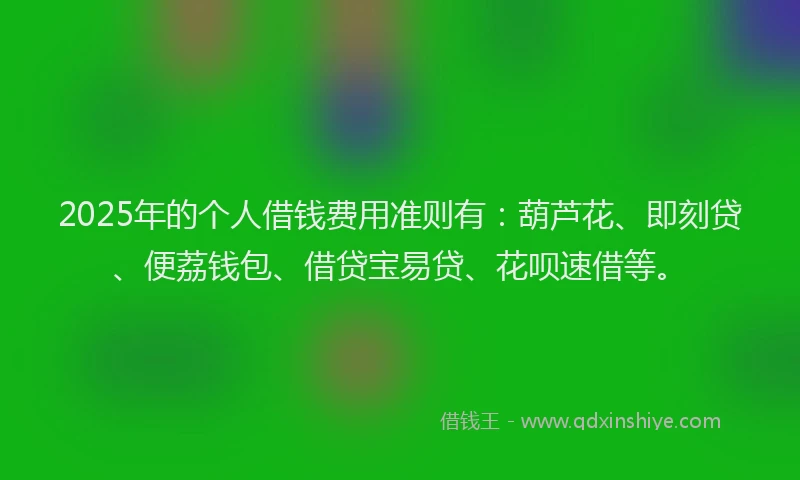 2025年的个人借钱费用准则有：葫芦花、即刻贷、便荔钱包、借贷宝易贷、花呗速借等。