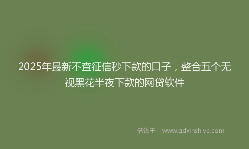 2025年最新不查征信秒下款的口子，整合五个无视黑花半夜下款的网贷软件