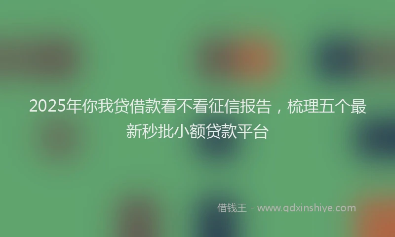 2025年你我贷借款看不看征信报告，梳理五个最新秒批小额贷款平台
