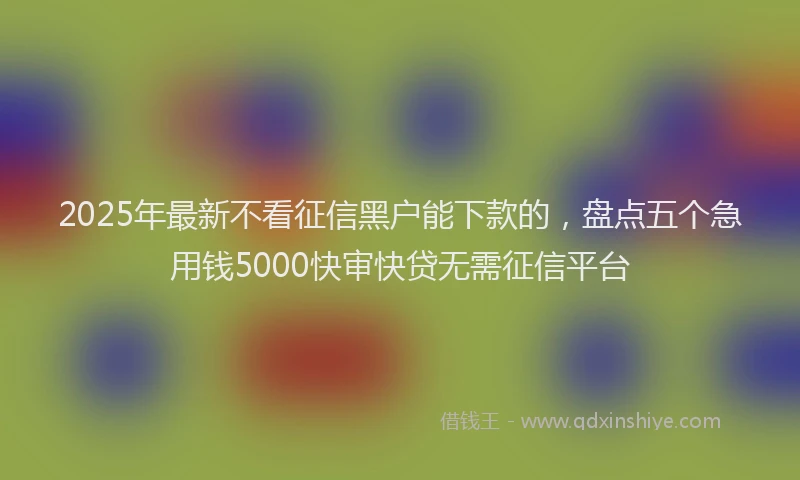 2025年最新不看征信黑户能下款的，盘点五个急用钱5000快审快贷无需征信平台