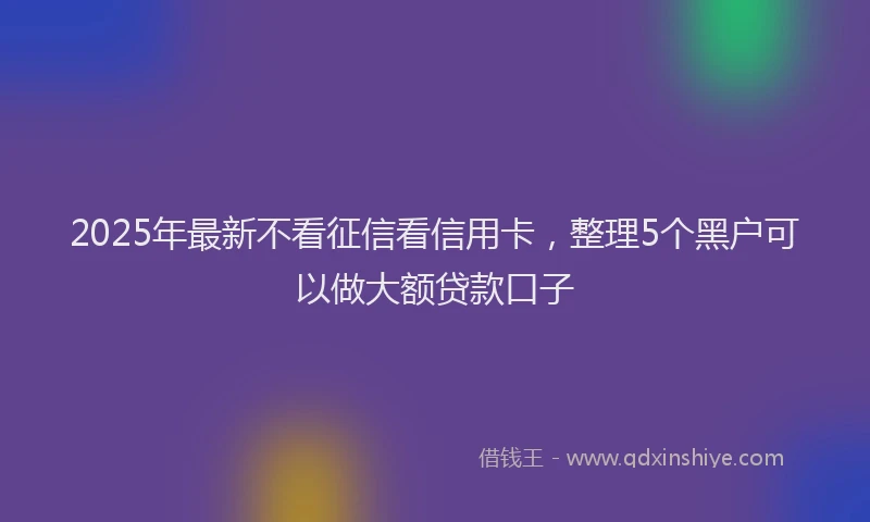 2025年最新不看征信看信用卡，整理5个黑户可以做大额贷款口子
