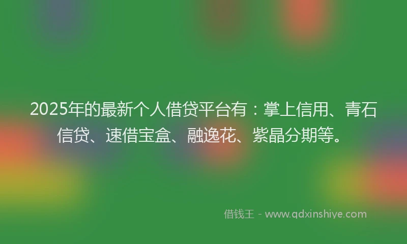 2025年的最新个人借贷平台有：掌上信用、青石信贷、速借宝盒、融逸花、紫晶分期等。