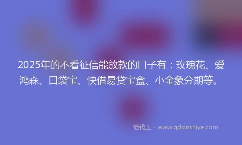 2025年的不看征信能放款的口子有：玫瑰花、爱鸿森、口袋宝、快借易贷宝盒、小金象分期等。