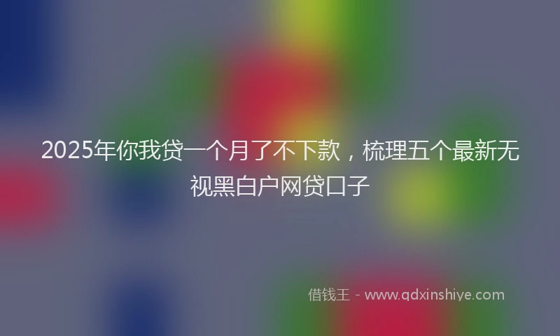 2025年你我贷一个月了不下款，梳理五个最新无视黑白户网贷口子